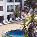 Sunbird 3* シダ